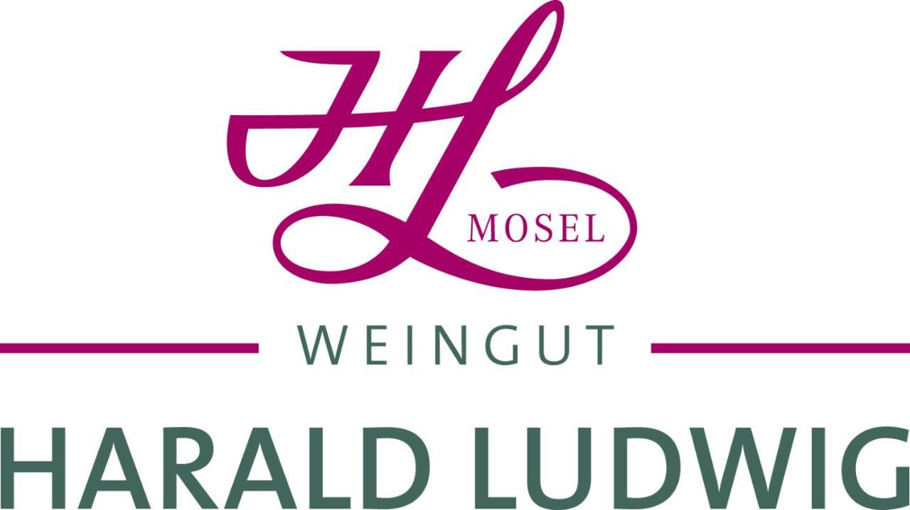 شقة Weingut Harald Ludwig Osann-Monzel المظهر الخارجي الصورة